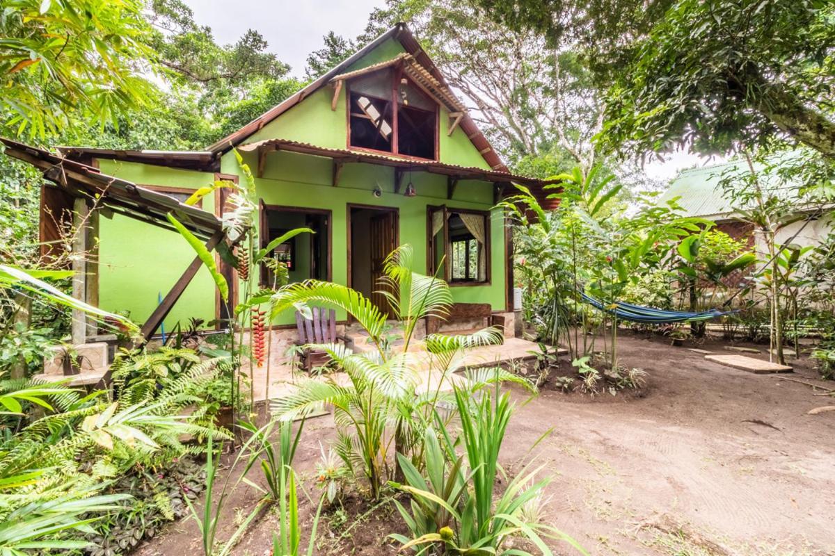 Casa Chilamates Tortuguero Extérieur photo