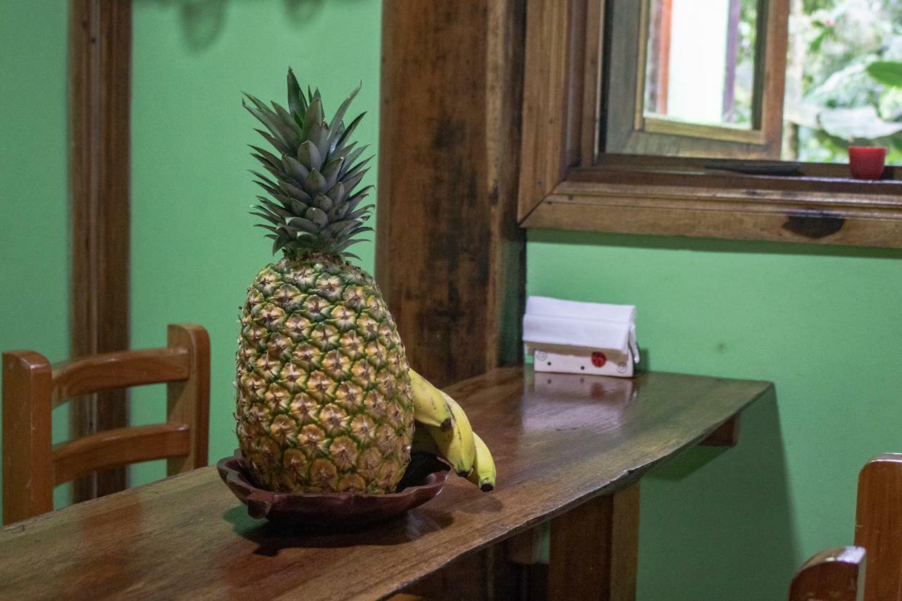 Casa Chilamates Tortuguero Extérieur photo